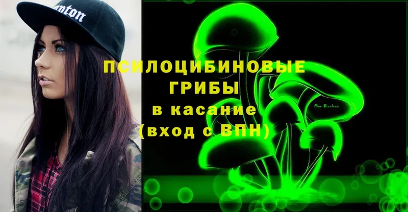 Галлюциногенные грибы Psilocybe  Кяхта 